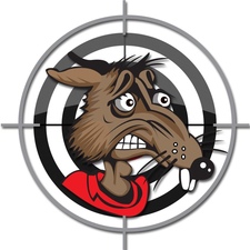 Rodent Solutions, Inc. logo