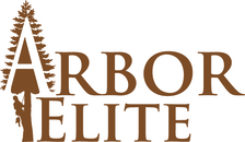 Avatar for Flooring Elite, LLC