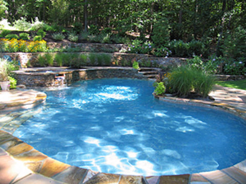 Traditional Pool with hillside landscaping
