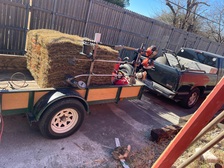 Total Lawn Service logo