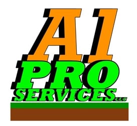 A1 Pro Services, LLC logo