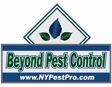 Logo for Beyond Pest Control, Inc.