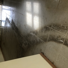 Top Longboat Key Carpet Cleaners Tile Grout Furniture Drapes Curtains Pressure Washing