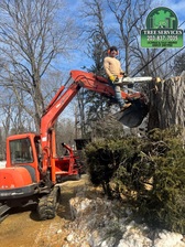 Logo for L&T Landscaping and Tree Services, LLC