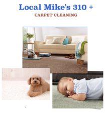 Logo for Local Mike's 310+ Carpet Cleaning