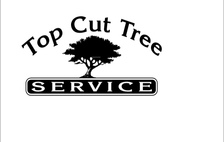 Top Cut Tree Service - logo