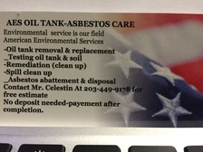 Avatar for American Environmental Services