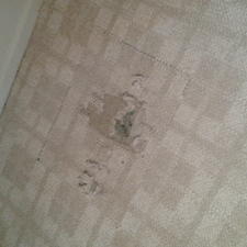 Blog Archives Carpet Chris Carpet Repair 480 577 8850