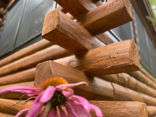 Logo for Timber Frame Kings