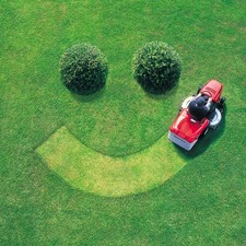 Avatar for Shane's Lawn Care