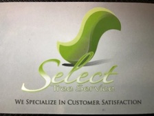 Select Tree Service logo