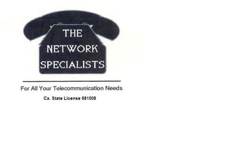 The Network Specialists logo