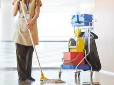 Avatar for A Simple Shine For All Your House Needs