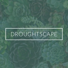 Western Pacific Landscaping logo