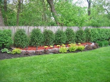 Some planting projects that use ornamental trees Pictures and Photos