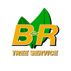 B & R Tree Service-Charlton logo