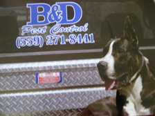 Avatar for B & D Pest Control Inc. - sas shif Facebook