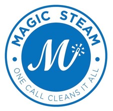 Avatar for Magic Steam