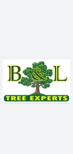 B & L Tree Expert, LLC logo