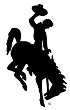 Avatar for Bucking Horse Construction