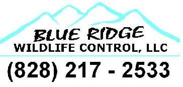 Blue Ridge Wildlife Control, LLC logo