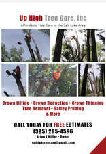 Avatar for Up High Tree Care