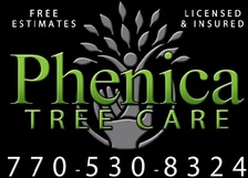 Phenica Tree Care, LLC logo