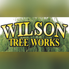 Avatar for Wilson Tree Works
