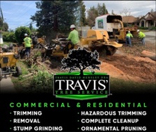 Logo for Travis David Hensley