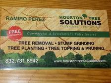 Houston Tree Solutions logo