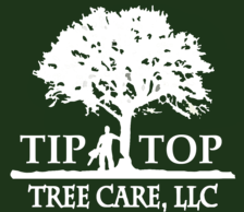Tip Top Tree Care, LLC logo
