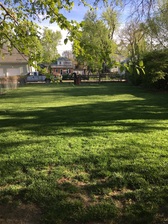 Avatar for DLA Mowing