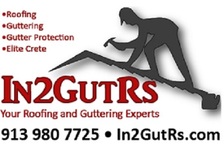 Logo for In2GutRs