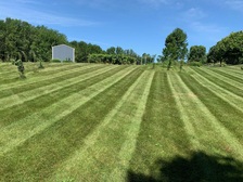 Iowa Premium Lawn Service logo