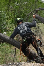 Buchanan Tree Service, LLC logo