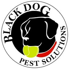 Avatar for Black Dog Pest Solutions, LLC