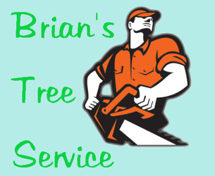Brian's Tree Service logo