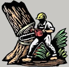 Antonio's Tree Experts, LLC logo