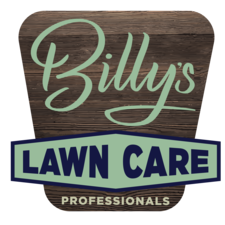 Avatar for Billy's Quality Home Services, LLC