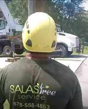 Avatar for Salas Tree Service, LLC