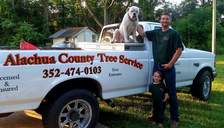 Alachua County Tree Service logo