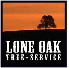 Avatar for Lone Oak - Tree Service