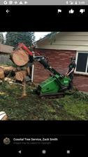 Logo for Coastal Tree Service
