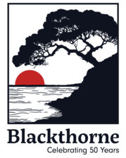 Avatar for Blackthorne Spas