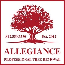 Avatar for Allegiance Tree Service