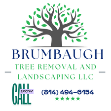 Avatar for Brumbaugh Tree Removal and Landscaping LLC