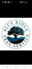 Logo for Blue Ridge Tree Service LLC