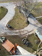 Straight Cut Tree Service logo