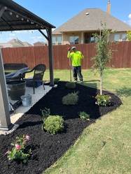 Cruz Landscaping logo