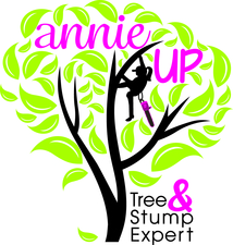 Annie Up, LLC logo